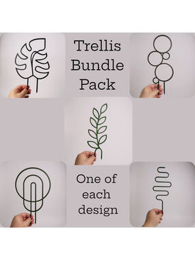 Modern Plant Trellis, Squiggle Shaped Plant Support, Indoor Garden Decor